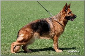 Atlanta_Bierstadter_Hof