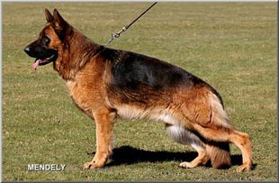 Rono_Bierstadter_Hof_