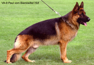 VA-9-Paul-vom-Bierstadter-H