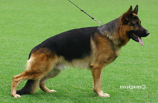 BacchusvomBiestadterHof-st-mail