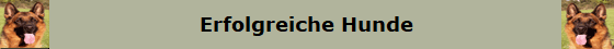 Erfolgreiche Hunde