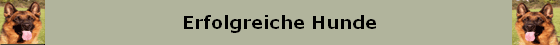 Erfolgreiche Hunde