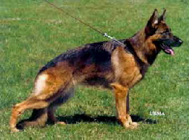 Ziska