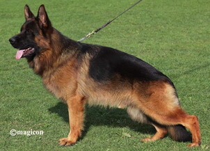 boston-1611402508961