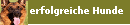 erfolgreiche Hunde