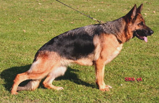 filma_bierstadter_hof1