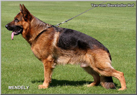 Yen vom Bierstadter Hof